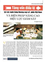 Tăng vốn điều lệ tại các ngân hàng thương mại cổ phần việt nam và biện pháp nâng cao hiệu lực giám sát 