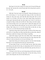 một kế hoạch phát triển trường bao quát từ 10 đến 20 vấn đề.