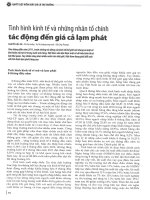 Tình hình kinh tế và những nhân tố chính tác động đến giá cả lạm phát 