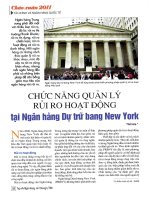 Chức năng quản lý rủi ro hoạt động tại ngân hàng dự trữ bang new york 