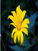 Bài giảng vật lý 6 bài 3 đo thể tích chất lỏng (31) 