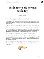 Tuyến tuỵ và các hormon tuyến tuỵ 
