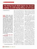 Hệ thống hoạch định nguồn lực doanh nghiệp và chất lượng thông tin kế toán 