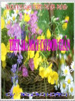 Bài giảng vật lý 6 tham khảo bài máy cơ đơn giản (12) 