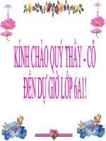 Bài giảng vật lý lớp 6 thực hành xác định khối lượng riêng của sỏi (6) 