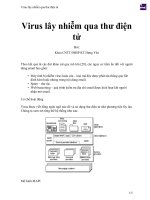 Virus lây nhiễm qua thư điện tử 