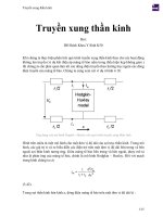 Truyền xung thần kinh 