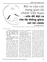 Rủi ro của các trung gian tài chính việt nam   vấn đề đặt ra cho hệ thống giám sát tài chính 