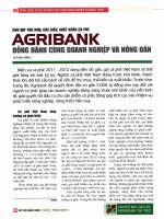 Cho vay thu mua, chế biến, xuất khẩu cà phê agribank đồng hành cùng doanh nghiệp và nông dân 