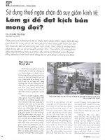 Sử dụng thuế ngăn chặn đà suy giảm kinh tế làm gì để đạt kịch bản mong đợi 