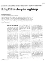 Đổi mới công tác bồi dưỡng CBCC ngành tài chính hướng tới tính chuyên nghiệp 