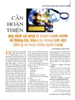 Cần hoàn thiện quy định xử phạt vi phạm hành chính về thông tin, báo cáo trong lĩnh vực tiền tệ và hoạt động ngân hàng 