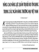 Nâng cao năng lực quản trị rủi ro tín dụng trong các ngân hàng thương mại việt nam 