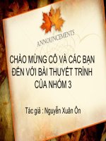 slde thuyết trình tìm hiểu về nguyễn xuân ôn