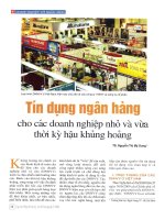 Tín dụng ngân hàng cho các doanh nghiệp nhỏ và vừa thời kỳ hậu khủng hoảng 