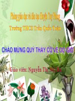 Bài giảng vật lý 6 lực và đơn vị đo lực (45) 