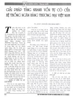 Giải pháp tăng nhanh vốn tự có của hệ thống ngân hàng thương mại việt nam 