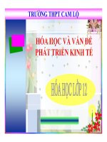 Bài giảng bài hóa học và các vấn đề phát triển kinh tế hóa học 12 (7) 