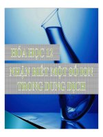 Bài giảng bài nhận biết một số ion trong dung dịch hóa học 12 (2) 