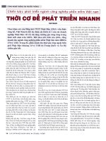 Chiến lược phát triển ngành công nghiệp phần mềm việt nam thời cơ để phát triển nhanh 