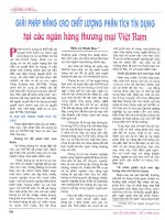 Giải pháp nâng cao chất lượng phân tích tín dụng tại các ngân hàng thương mại việt nam 