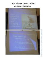 THỰC HÀNH ký SINH TRÙNG HÌNH THỂ đơn bào 