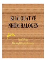 Bài giảng bài khái quát về nhóm halogen hóa học 10 (5) 