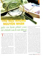 Thử nêu những nguyên nhân gây ra lạm phát cao từ chính sách tài khóa 