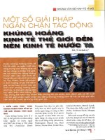 Một số giải pháp ngăn chặn tác động khủng hoảng kinh tế thế giới đến nền kinh tế nước ta 