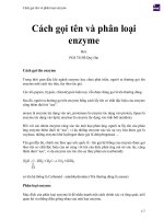 Cách gọi tên và phân loại enzyme 