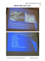 QUAN sát HÌNH THỂ GIUN sán ký SINH, kỹ THUẬT KATO KATZ 