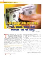 Mối quan hệ giữa đô la hóa và các chỉ số kinh tế vĩ mô 