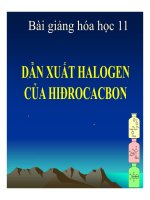 Bài giảng bài dẫn xuất halogen của hiđrocacbon hóa học 11 (3) 