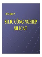 Bài giảng bài silic, công nghiệp silicat hóa học 9 (3) 