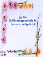 Bài giảng bài diện tích xung quanh   diện tích toàn phần của hình hộp chữ nhật toán 5 (4) 