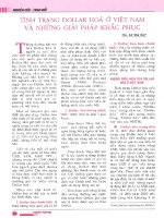 Tình trạng dollar hóa ở việt nam và những giải pháp khắc phục 