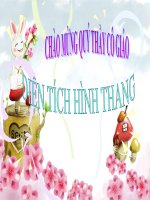 Bài giảng bài diện tích hình thang toán 5 (2) 