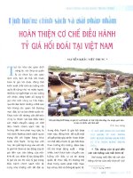 Định hướng chính sách và giải pháp nhằm hoàn thiện cơ chế điều hành tỷ giá hối đoái tại việt nam 