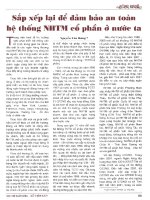 Sắp xếp lại để đảm bảo an toàn hệ thống NHTM cổ phần ở nước ta 