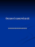 TỔNG QUAN về x QUANG PHỔI QUI ước