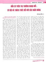 Đầu cơ trên thị trường ngoại hối cơ hội và thách thức đối với các ngân hàng 