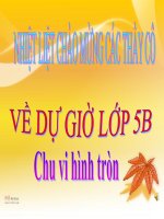 Bài giảng bài chu vi hình tròn toán 5 (3) 