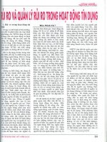 Rủi ro và quản lý rủi ro trong hoạt động tín dụng 