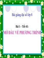 Bài giảng bài mở đầu về phương trình đại số 8 (3) 