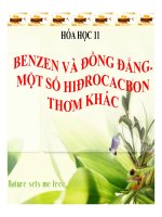 Bài 35 benzen và đồng đẳng  một số hiđrocacbon khác   12 bài giảng hóa học 11 (8) 