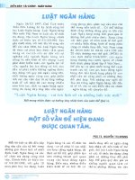 Luật ngân hàng một số vấn đề hiện đang được quan tâm 