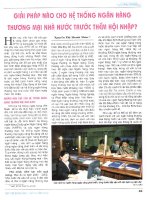 Giải pháp nào cho hệ thống ngân hàng thương mại nhà nước trước thềm hội nhập 