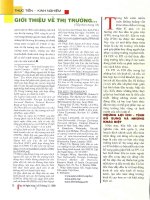 Đầu tư trực tiếp và đầu tư gián tiếp nước ngoài   tính bổ sung , những khác biệt và sự giao thoa lẫn nhau 