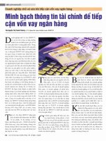 Doanh nghiệp nhỏ và vừa khi tiếp cận vốn vay ngân hàng  minh bạch thông tin tài chính để tiếp cận vốn vay ngân hàng 