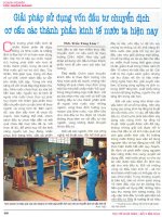 Giải pháp sử dụng vốn đầu tư chuyển dịch cơ cấu các thành phần kinh tế nước ta hiện nay 